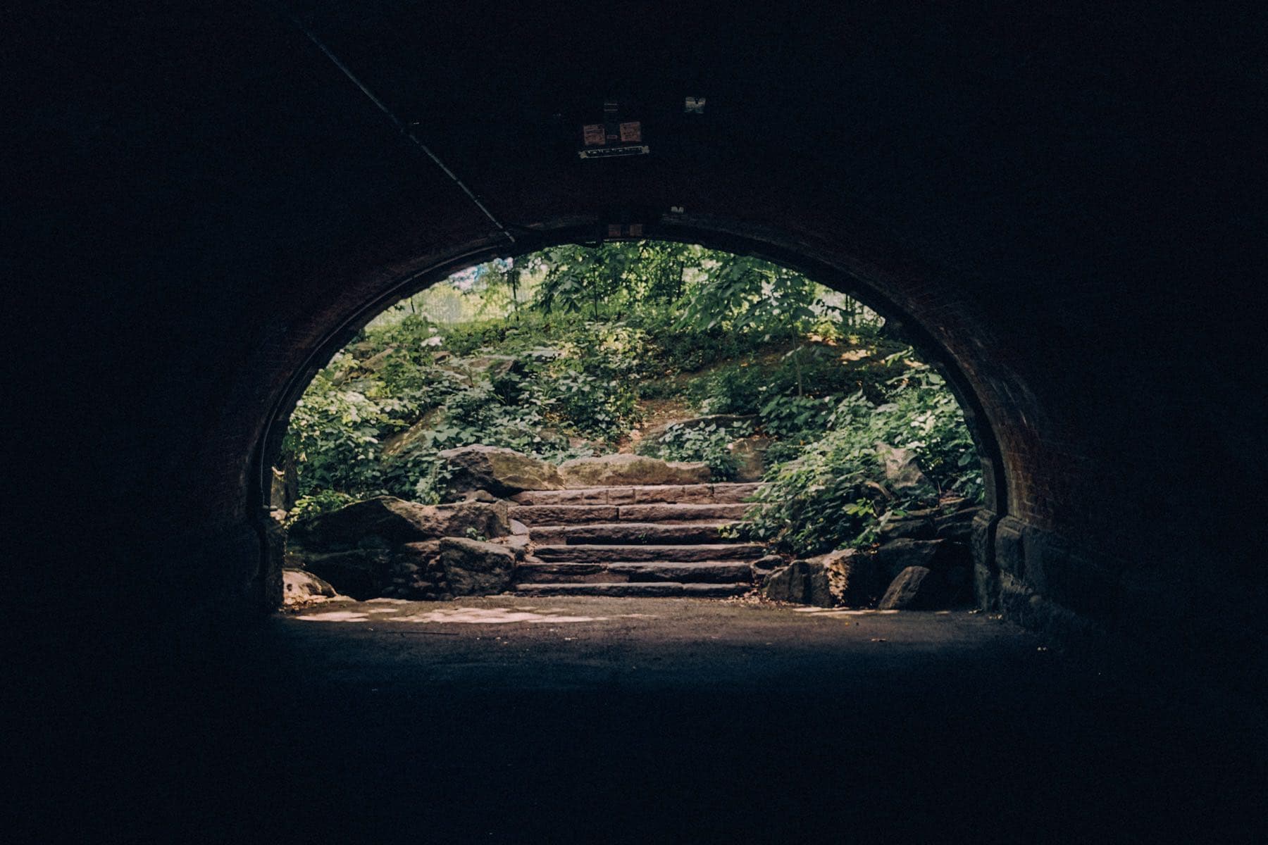 A dark stone tunnel opening onto green light and steps